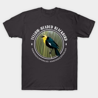 Yellow-Headed Black Bird Round T-Shirt